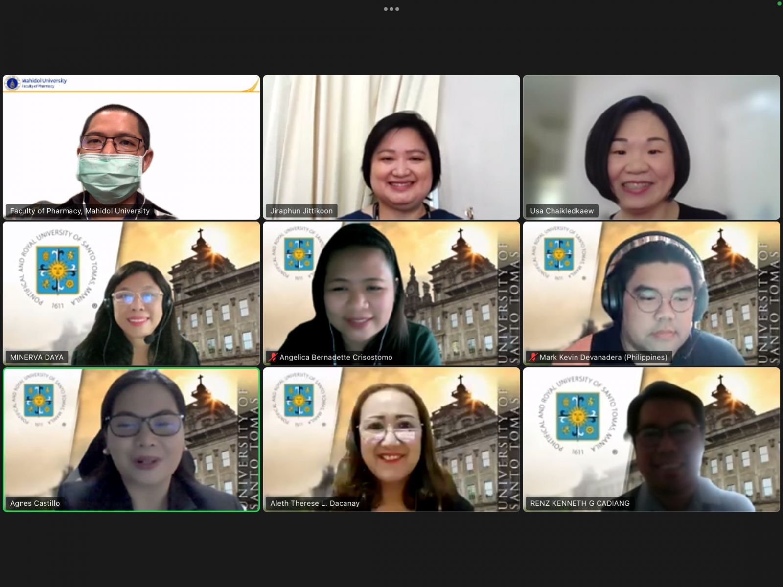 Online meeting with UST colleagues