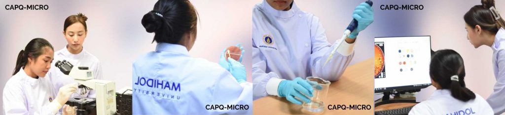 Laboratory Analysis