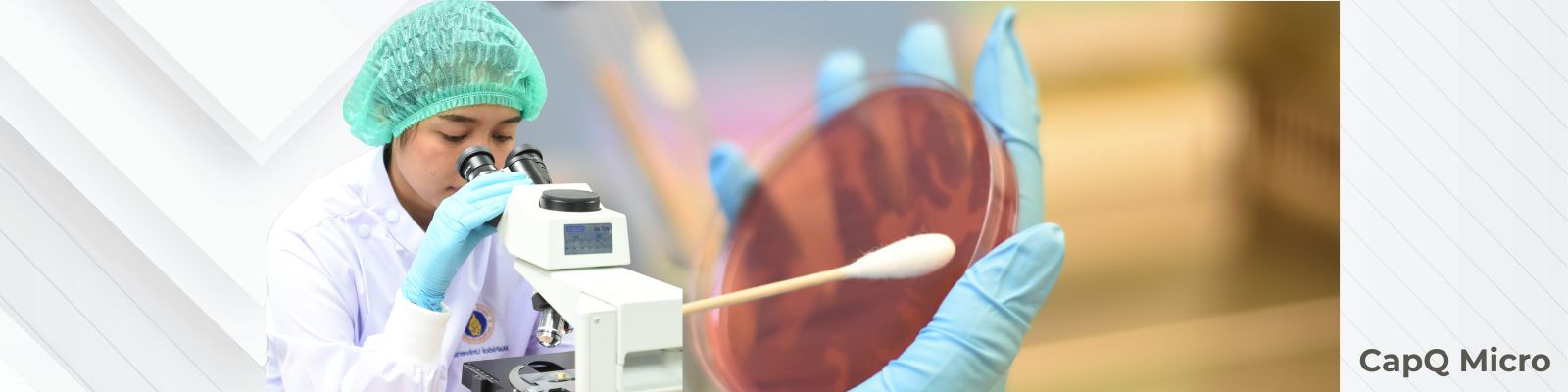 Microbiology Testing
