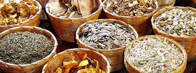 Medicinal Plant Database