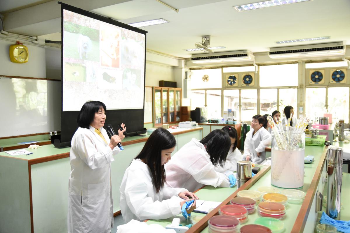 การเตรียมข้อมูลและการทดสอบคุณภาพผลิตภัณฑ์ด้านจุลชีววิทยาเพื่อการขึ้นทะเบียน
