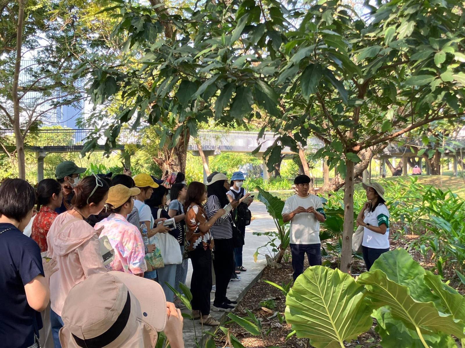 ภาควิชาเภสัชพฤกษศาสตร์จัดกิจกรรม Herbal Walk ครั้งที่ 6: Botanical Neighborhood